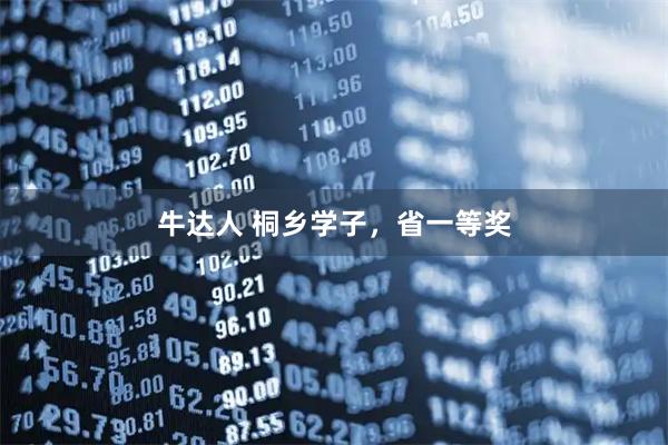 牛达人 桐乡学子，省一等奖