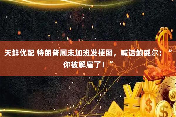 天鲜优配 特朗普周末加班发梗图，喊话鲍威尔：“你被解雇了！”