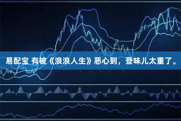 易配宝 有被《浪浪人生》恶心到，登味儿太重了。